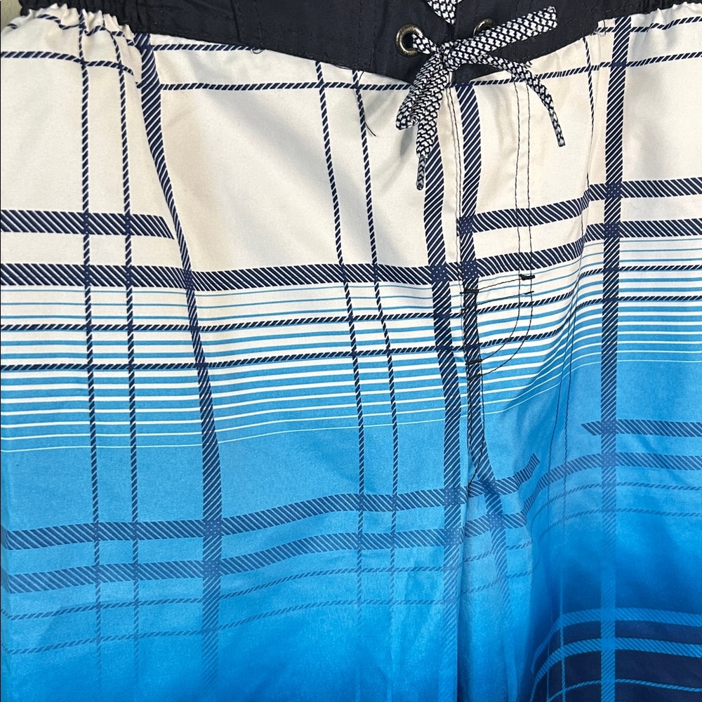 ZeroXposur White and Blue Plaid Shorts - Picture 4 of 7